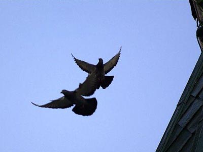 ��Դ�ʦ�����13��ֻ��90����