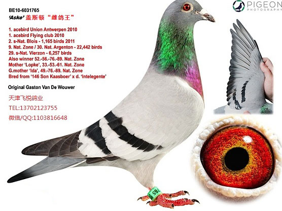 ������򵽳����ɼ�����޵��ˣ�