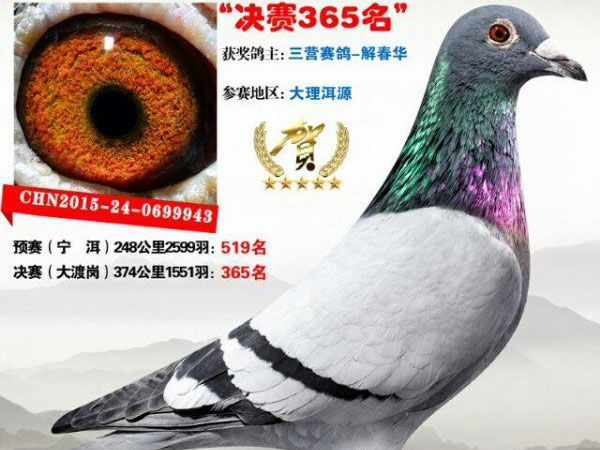 ���ｻ��20�� ����ʣ������(ͼ)