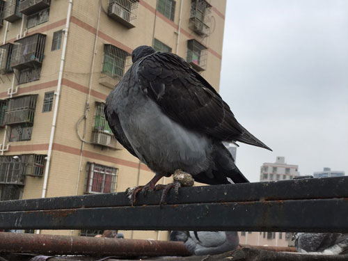 ���Ÿ�ġ�������