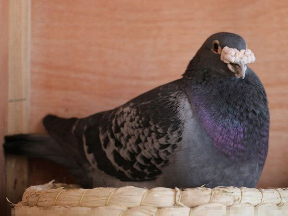 ˵�㡰�������֡�ʵ��