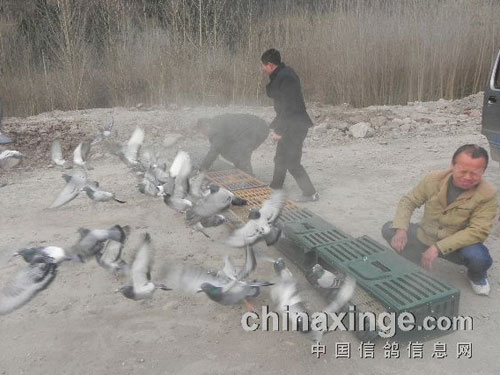 �������ˣ���ɡ���������(ͼ)