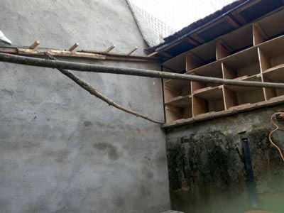 ª��PK��û����ʡ ֻ�и�ʡ(ͼ)