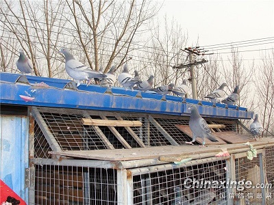 ��ů�������ʱ ��û�������λ��(ͼ)