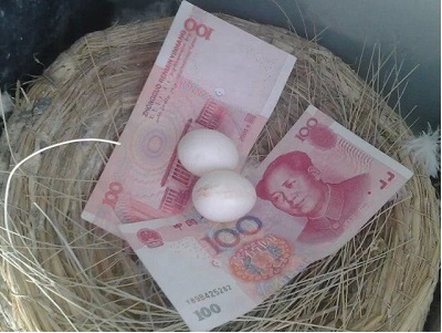 �����뷢��� �뱻Ǯ�����ˣ�(ͼ)