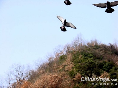 �������޿ɺ�� ��ò��ǹؼ�