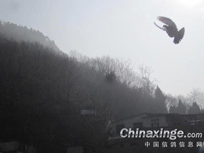 ������������ �п�ѵ�ż������