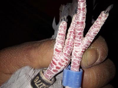 �ٹ����� �߻�ë�ų������ë��(ͼ)