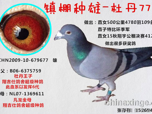 �������ġ��������ۡ�(ͼ)