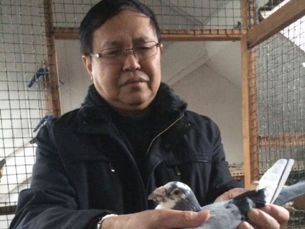 ª��ø룺�ݷ��Ϻ����������ΰ��(ͼ)