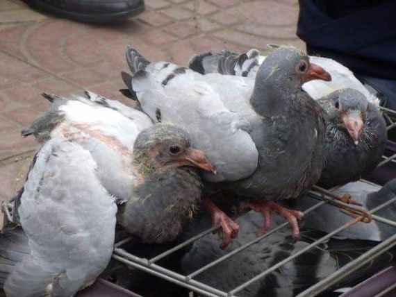 ��н�������꣺׼��תս����