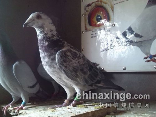 ע�⣺С���ָ�ϴ��ʱ������(ͼ)