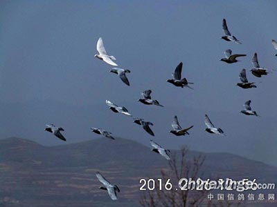 ���俴��Ư�� �Ӵ�ȴ�ѷɺ�