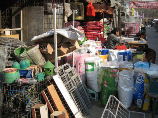 ˭�����ң���꿪���� ����÷���