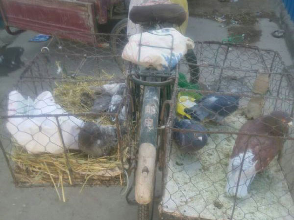 Ϊɶ��������Խ��Խ�٣�(ͼ)