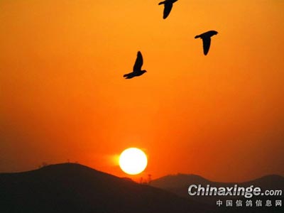 ��ͼ���ͣ�����Ҳ������(ͼ)