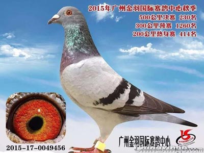 ��ʦ����Ԯ�׸� ��ս����������(ͼ)