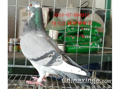 �ƽ���ԣ�����������깫���(ͼ)