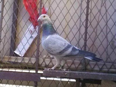 ƫ�����룺�ܿ��ܷ� һ������(ͼ)