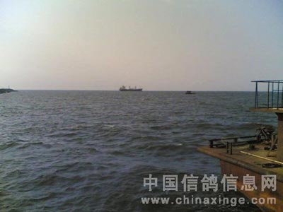 ���������ѵ��