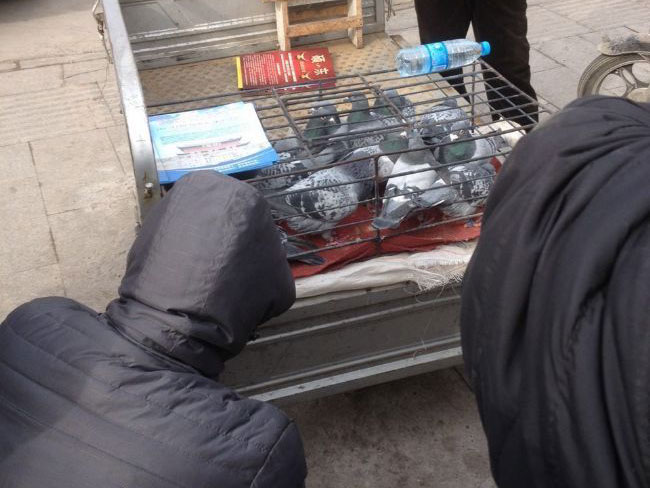 ȥ�����ϡ����֡�(ͼ)