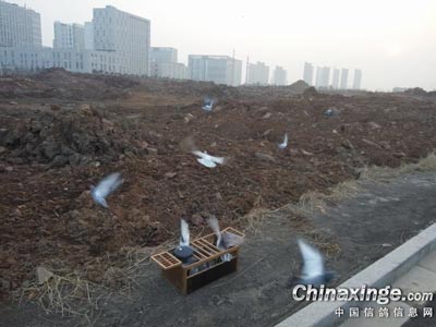 ��Ϊ����Ϊ�� ����ѵ������