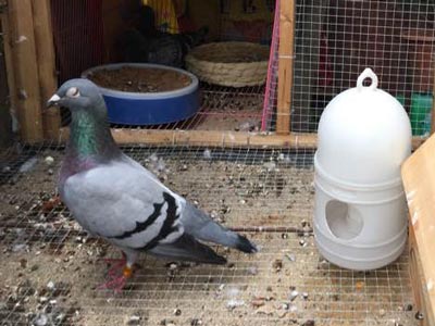 ���ｱ���Ӵ� ������������ˣ�(ͼ)