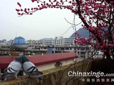 ��ͼ���ͣ��Ի�Ϊ�� ��������(ͼ)