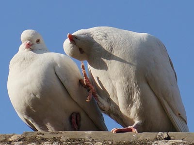 �����ˣ����ｱ��80����ѵ�Ŷ�����