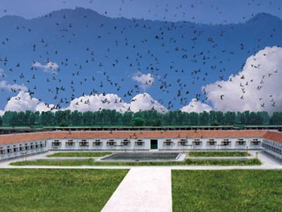 �¹����ϰ壺���ơ������ڡ��š�