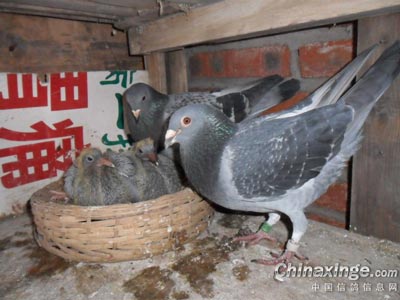 �����һ�ԣ��ھ�����ٹ��(ͼ)