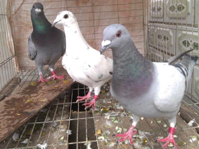 ֱ��180�������ȥ�޻أ�(ͼ)