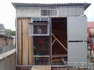 �����㡰���ɡ����� ������θĽ�(ͼ)