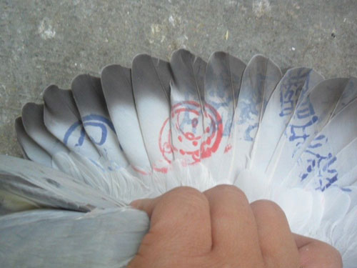 �����ֲ᣺������ó�ʤ���壿