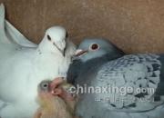 �Ҹ�һ�ң����ӵĳɳ���¼(ͼ)