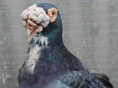 ����������ô����(ͼ)