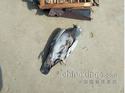 ��Ȯ�ºݿ� �������ȫҧ��(ͼ)