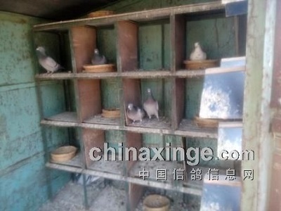 ����ռ���ø� �������²���ͷ(ͼ)