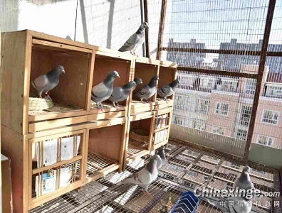 ������ô�� �����ܳ��ã�(ͼ)