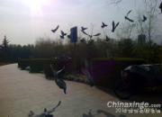 ���롪���Ǹ��Լ������������ӣ�