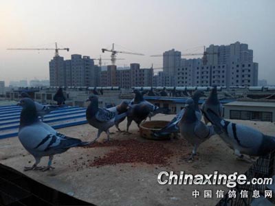 ���ѽ��볣���� �ϼ��ٴλ����ţ�