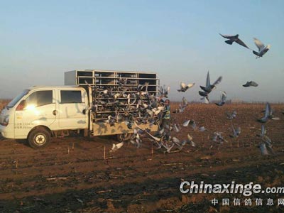 С��Ӳ������λ ѹ�����´���ʧ