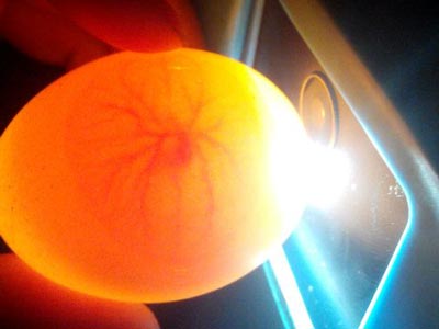 ѧ����ˮ�������� �ɹ��ʾų�����(ͼ)