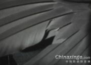�������׸�����ǹ����������(ͼ)