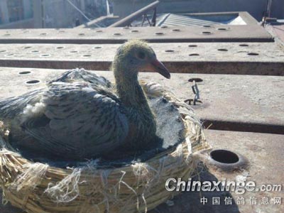 ��������ûռ���Ӷ������