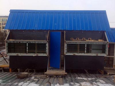 �½��رȻ�������(ͼ)