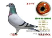 �����İ��룺�����������(ͼ)