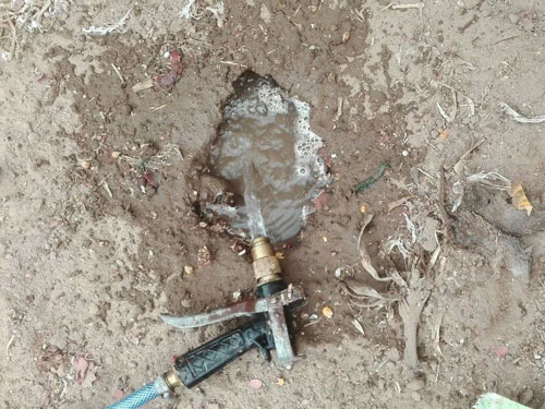 ����Ƶ͵Ϯ ˮ�����ϳ�(ͼ)