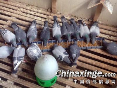 ��Щ��� զ�����кóɼ���(ͼ)