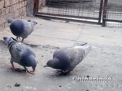 ����һ���� ��̫��ĽӴ��(ͼ)